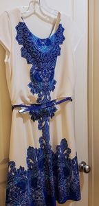 Dress Barn ladies dress